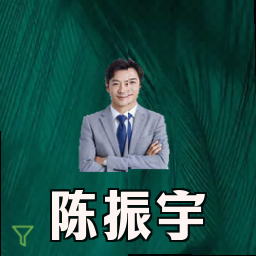 陈振宇